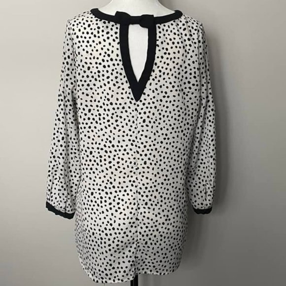 Black & White Dot Top - RW & Co - Size M - Picture 2 of 2